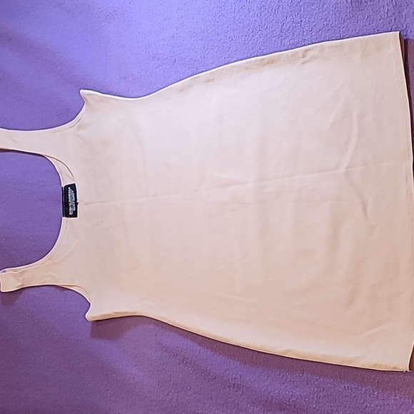 0734. EUC ~ Nancy Ganz ~ BODYSLIMMERS ~ XL ~ BEIGE~ Rare!! - Picture 2 of 7